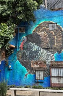 El Guajolote de Coyoacán - 2