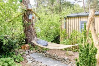 Pimpelmees vakantiehuis in het bos - 1