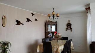 Los Castaños Pucón - 6