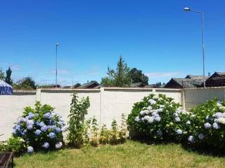 Los Castaños Pucón - 1