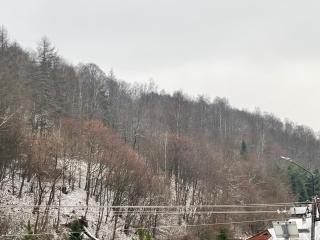 Agroturystyka u Zosi - 8