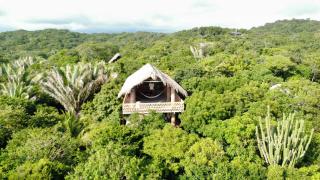 New Ruins Off-The-Grid SuperAdobe Domes with Pool - 6