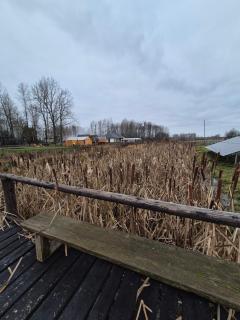 Zawilcowa Dolina - 6