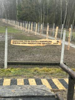 Zawilcowa Dolina - 9