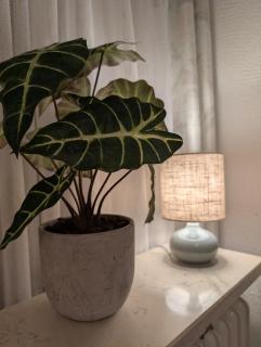 Ferienwohnung in Bad Füssing - 9