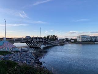 flor de canela 2 - 9