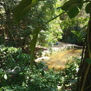 Sítio Águas Lindas Praia de São Gonçalinho Paraty - 8