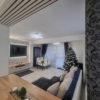 Apartament Kalinderu K3 Busteni - 3