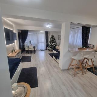 Apartament Kalinderu K3 Busteni - 4