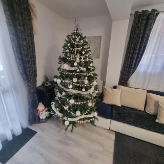 Apartament Kalinderu K3 Busteni - 5