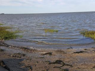 16 person holiday home in Rømø - 7