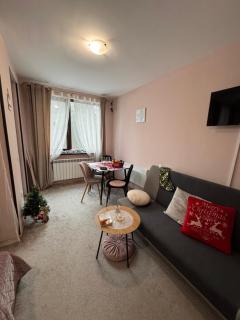 Borovetz Gardens MVS Apart E28 - 6