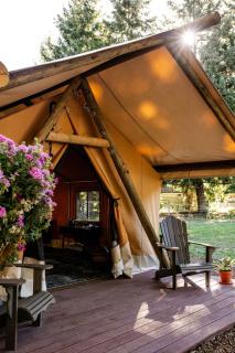 Duck Pond Oasis - Glamping - 0