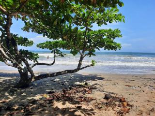 Cabin in the wata - 3