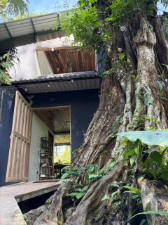 Cabin in the wata - 1