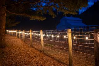 Duck Pond Oasis - Glamping - 5