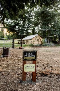 Duck Pond Oasis - Glamping - 2