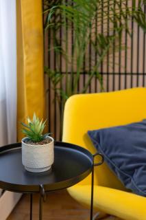 Quiet Yellow Unit- Stampede, BMO, Nightlife Etc. - 3