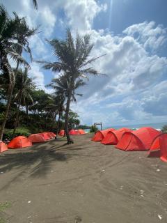Tenda Reguler Pantai Madasari - 2