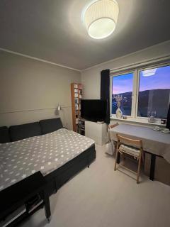 Private, charming apartment in Oslo with a great view - 8