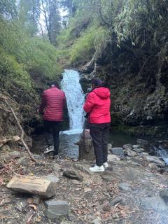 Himalayan Homestay Gadagusain - 9