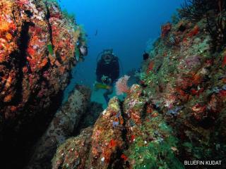 KBH Guest House - Kudat - 2