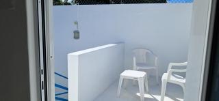 Estudio Coatí Azul en la Isla de Cozumel en el Caribe - 8