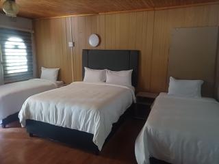 Blackwood Guesthouse - 6