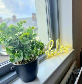 No8 Luxury Staysl4 min walk City linksParkCanal - Londen - 5