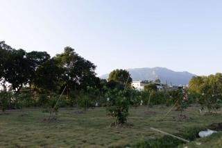 Lofu Banxianju·Small Courtyard Homestey - 4