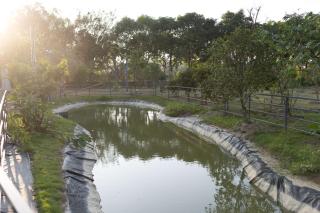 Lofu Banxianju·Small Courtyard Homestey - 7