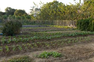 Lofu Banxianju·Small Courtyard Homestey - 3