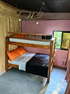 Cabaña entre aves cerca a Filandia y Salento - 5