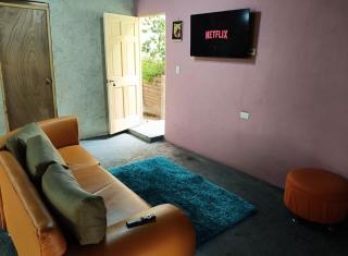 Cabaña entre aves cerca a Filandia y Salento - 2