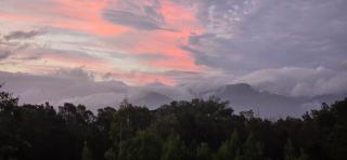 Pura Vida Forest Cabin - 9