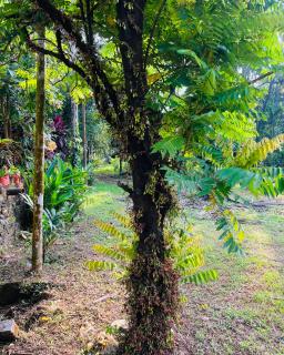 HARSHAM Eco Village - 4