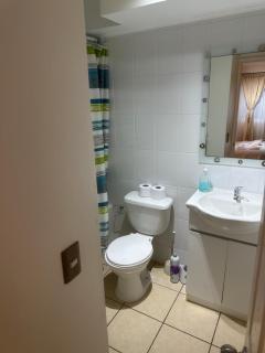 Descansa en playa pelluco - 5