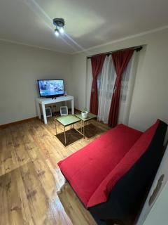 Descansa en playa pelluco - 7