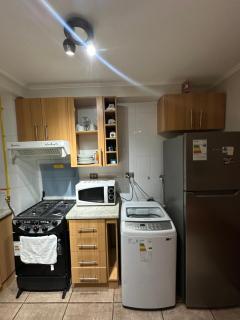 Descansa en playa pelluco - 3