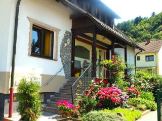 Gästehaus Hermine - Oberkirch - 0