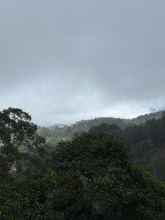 Ivory Canopy Resort - Ella - 7