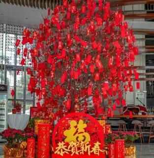 Wyndham Sanya Bay - 7