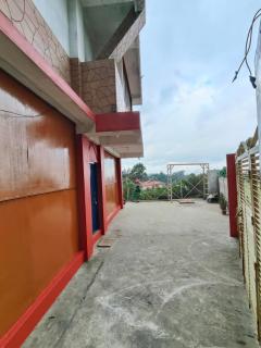 Pine trees HomeStay - 6