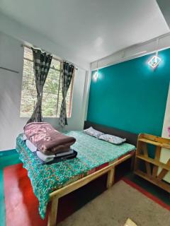 Pine trees HomeStay - 4