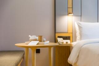 All Seasons Shanghai New International Expo Centre Hotel - 5