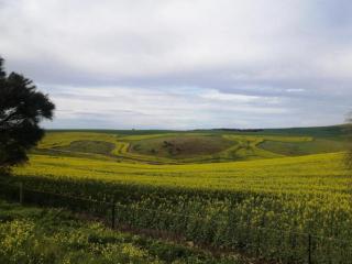 Eden on Todd River - 3