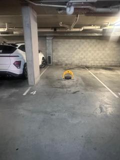 Apartment in Chevron Island - 9