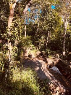 Kunnirikal home stay - 6