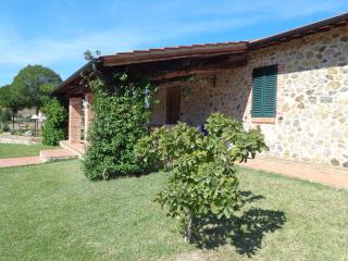 Agriturismo La Valle del Sole - Castiglione dʼOrcia - 3