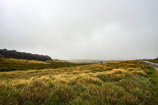 Ohiya Alpine River Lodge - 3